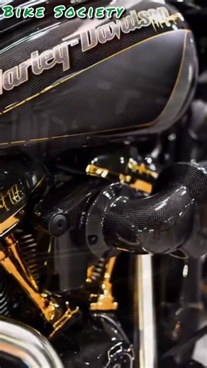 Harley Davidson V-Rod #bikesociety #automobile #harleydavidsonbike #vrodcustom #harleydavidsonbik