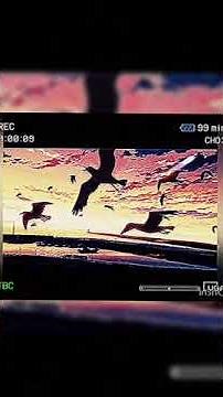 Perfect teeth subliminal