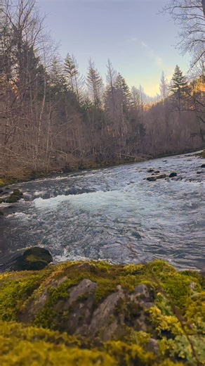 It’s A Beautiful Day In Blue River #Oregon #nature #riverlife | McKenzie River Drone Photography