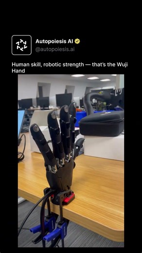 Human skill, robotic strength — that’s the Wuji Hand