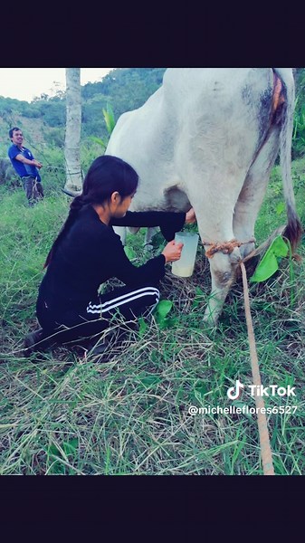 Michelle Flores 🌼 ✨ (@michelleflores6527)’s videos with Recuerdos Viejos - Traviezoz de la Zierra