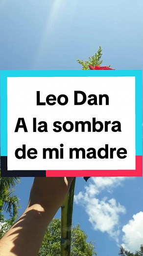 A la Sombra de Mi Madre - Hermosa Canción para Dedicar a tu Mamá