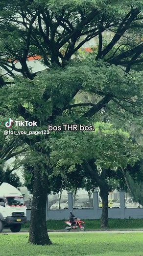 Informasi THR untuk Bos dan Karyawan