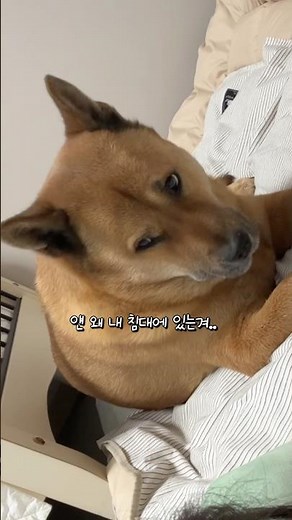 누나는 아빠 없을 때만 필요해