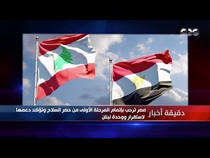 Minute News | Egypt welcomes the completion of the first phase of the weapons inventory and affir...