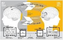 Brain to brain interface: where are we?