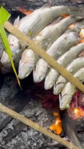 Grilling Fish Over Campfire 🔥 Night Forest