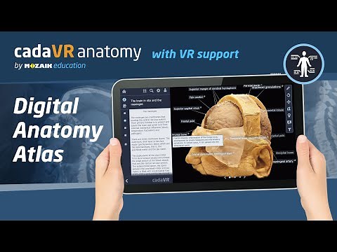 cadaVR - 3D anatomy atlas
