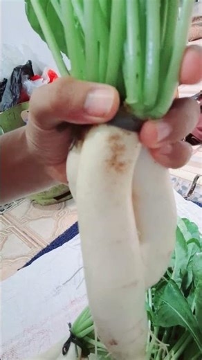 It Turns Out There Are Many Benefits to Eating Radishes