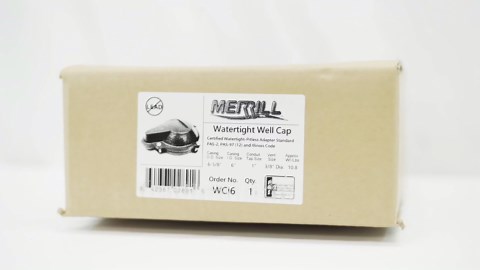 Merrill MFG 6-Inch Well Cap - Watertight Sanitary Pitless Adapter Cover, Cast Iron