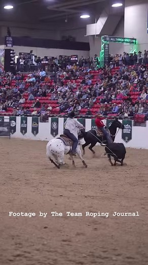 THE APPY 💥 From second call back, Bubba Buckaloo and Nicky Northcott cashed in $106,000 after winning the Ariat World Series of Team Roping Riata Buckle Open to the World Finale with a 43.06 on 6 steers. #teamroping #cowboy #heeling #heading #wstr #worldseriesofteamroping | The Team Roping Journal Magazine