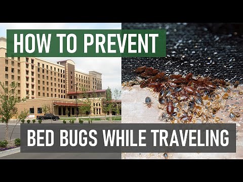 Bed Bug Travel Tips: Prevent Bed Bugs When Travelling