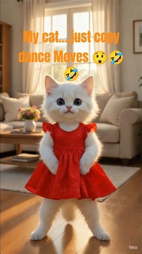 My Cat Copied My Dance Moves 😹💃 | Funniest Copycat Ever!#shorts #dancingcat #funnycat #youtubeshorts