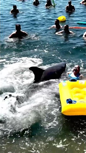 This Prank Was Absolutely JAWS-dropping! #Jaws