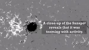102K views · 3.1K reactions | A Sunspot (AR2529) large enough to fit...