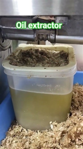 Home-Made Natural Oil Extractor Machine 🛠️🌿 | For Small Quantity Oil