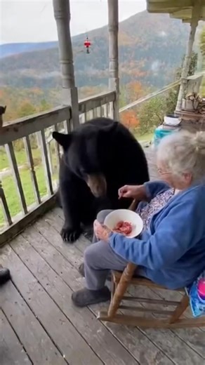 Grandma Bear Vlog 🐻 | Future Frame Studio