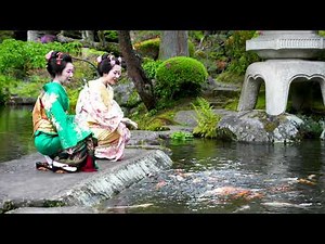 吉池旅館 山月園 × 箱根湯本芸能組合 きらり妓