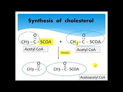 cardiovascular module 1/# cholesterol synthesis # biochemistry