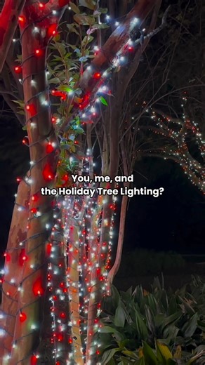 14K views · 162 reactions | It's time! ❄️✨ The annual Holiday Tree Lighting and Strolling Market is tonight, Sat, Dec 6 from 5-10pm. The grand event features carolers, festive entertainment, family activities, and a magical tree lighting at 6pm. Parking: $10 on-site (lots open at 4pm) or $5 at Largo High School (lots open at 4:30pm) or FREE at Largo Middle School. For more details, visit Largo.com/HollyJolly | City of Largo Recreation, Parks, & Arts | Facebook