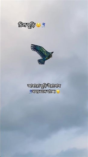আবারো ঘুড়ি উরানোন🪁সময় চলে যাচ্ছে 😥😲 #kite #kiteflying #bangladeshi #চং #ঘুড়ি ##চিল #shorts