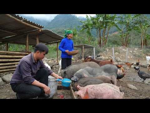 Single elderly woman decides to stay – her lonely past gradually revealed