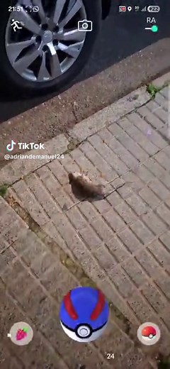 Exploring Wild Pokémon in RATATATATATATA