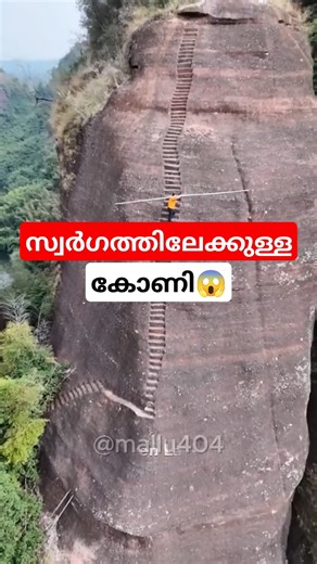 സ്വർഗത്തിലേക്കുള്ള കോണി😱 | Ladder of Heaven | #factshorts #nature #malayalam