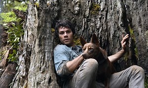 New on Streaming, DVD, Blu-ray and more January 4 to 10