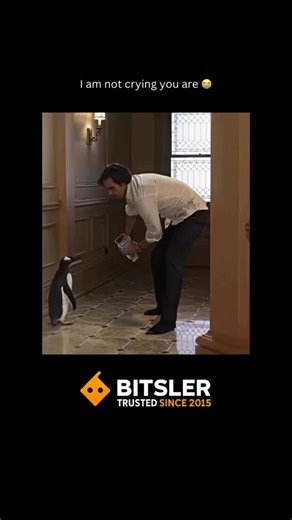 Movie Memory on Instagram: "I think I hear your mama calling😭 Credit: unknown 🎥: “Mr. Popper’s Penguins” is a 2011 family comedy film based on the classic children’s book, starring Jim Carrey as Thomas Popper, a driven and successful real estate developer in New York City whose relentless focus on his career has led to a divorce from his wife, Amanda (Carla Gugino), and a distant relationship with his two children. His meticulously ordered life is thrown into chaos when he receives a final, po