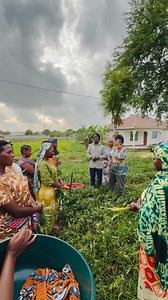 Part 9 : kitu kinachonifurahisha zaidi kwa hawa akinamama ni wastaarabu sana,hawajui tu wanavyookoa afya zetu | coy_mzungu