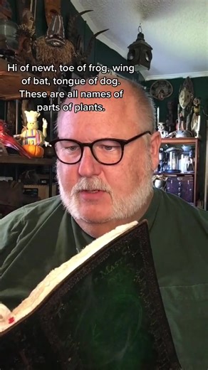 Understanding the Truth About Spines