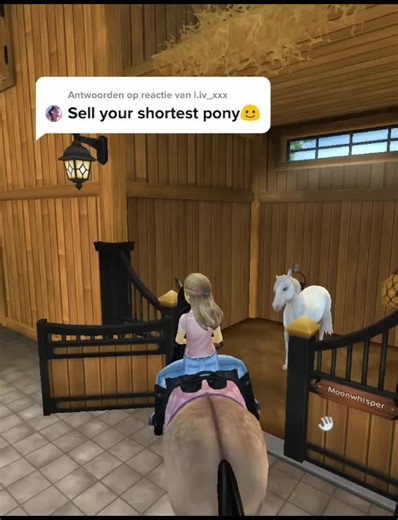 Naming Your Haflinger Horse: Tips and Ideas