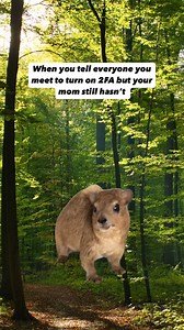 If we were you, we would keep those chats safe with 2FA because no way we’re letting the tea spill on your latest obsession! 🙂‍↔️ #SaferInternetDay #CyberSecurity #DigitalSafety | Meta