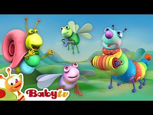 Reggae Chill and Jam 🎻 Big Bugs Band 🐛 | Music for toddlers 🎵 | Kids Songs & Rhymes ‪@BabyTV‬