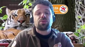 Big love for big cats: Valentine's day in FELIDA sanctuary