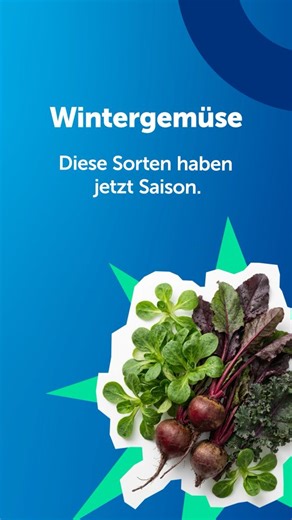 CSS Gesundheitspartnerin on Instagram: "Diese drei Wintergemüse haben jetzt Saison und bringen im Januar nicht nur Farbe, sondern auch richtig viele Nährstoffe auf deinen Teller. ❄️🥬 Welches landet bei dir am liebsten im Einkaufskorb? #CSS #Gesundheitspartnerin #Wintergemüse #Saisonal #Regional"