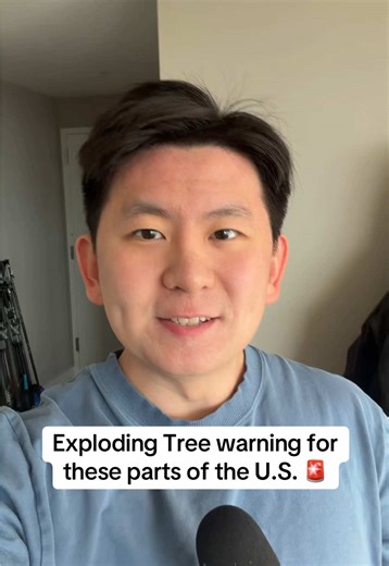 Exploding Trees: What You Need to Know