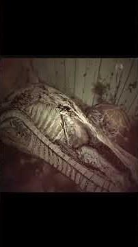 Resident Evil 7 Quick Recap