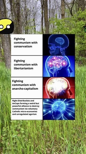 A bit different form what I post usually #capitalism #🐍 #anarchism #freedom #libertarian #ancap #distributism