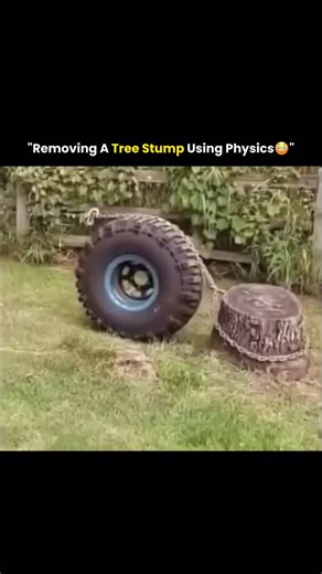 Innoverse on Instagram: "This clever physics hack makes removing a stubborn tree stump look easy! By looping a chain around a tire and the stump, force is multiplied through simple leverage, and the tire acts as a dynamic fulcrum to lift the stump out of the ground. A perfect example of how basic engineering principles solve real-world problems. 🌳🔧 We do not own any of the content. All credit goes to the respective owners. No copyright infringement intended. #veer_editex #knowledge #didyouknow