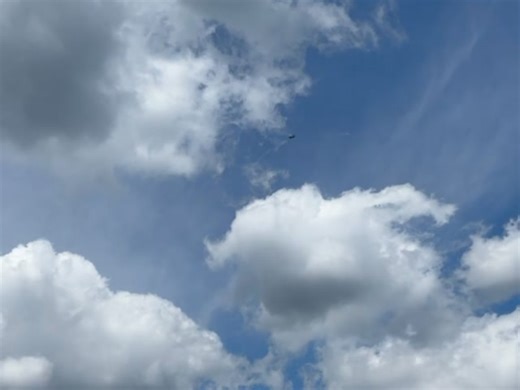 NZ Defence Force on Reels