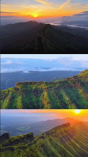 ⛰️राजगड फुलांनी भहरला आहे 🌼#rajgadfort⛳️ #gadkille #saydri #mountain #shivajimaharaj #gadkillepremi