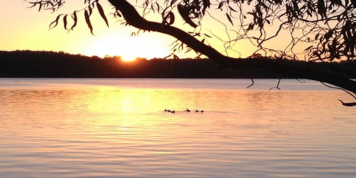 Grand Harbor Real Estate | Grand Harbor Homes for Sale