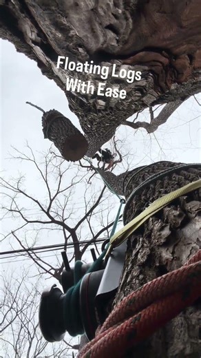 Pre tensioning rigging for wood control using the Hold Fast rigging System.