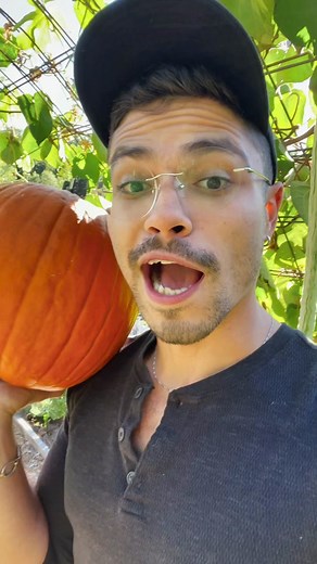 Funny Chicken Pumpkin Carving Video
