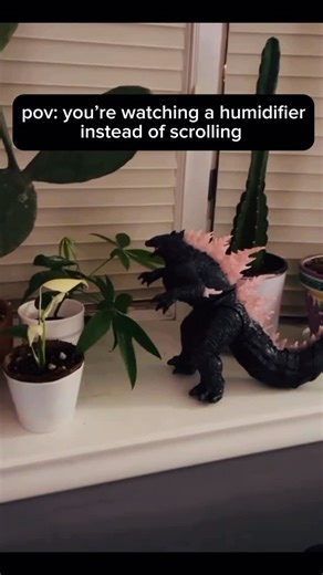Plant Vault | Rare Tropical Houseplant Shop on Instagram: "can someone please explain why I am obsessed with this godzilla humidifier? 😂💦 #plantmemes #godzilla #godzillakingofthemonsters #houseplants #indoorjungle"