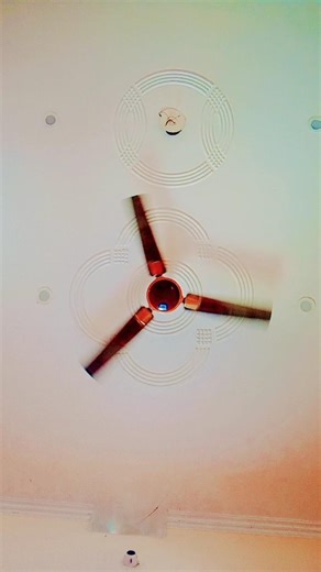 🎶🌀 4 Ceiling Fans… but they decided to become DANCERS instead of coolers! 🌀🎶