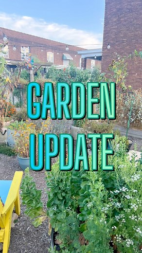 32K views · 1.6K reactions | September update on my zone 6b, Ohio garden. #garden #gardening | Dirty Punk Gardening | Facebook