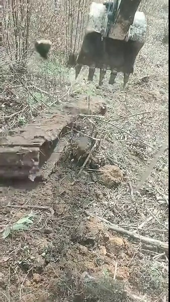 What Do you Tell About This?